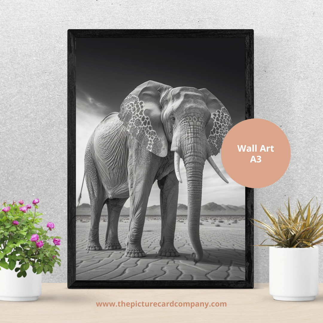 The monochrome wild animals’ collection - Elephant