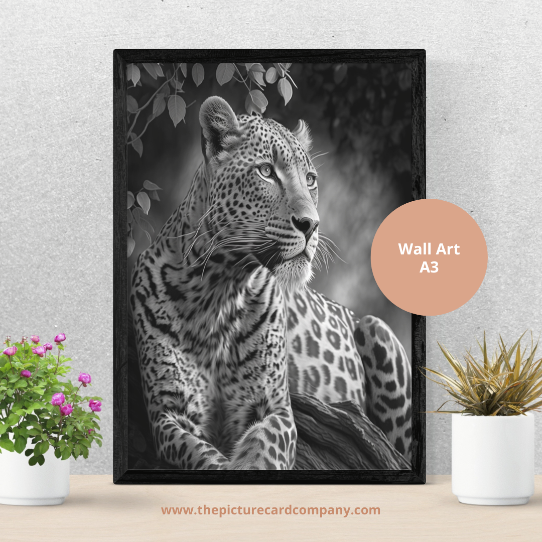 The monochrome wild animal’s collection - the Leopard