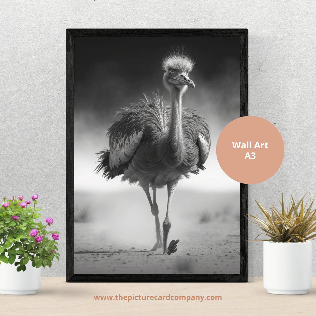 The monochrome wild animal’s collection - the charging Ostrich
