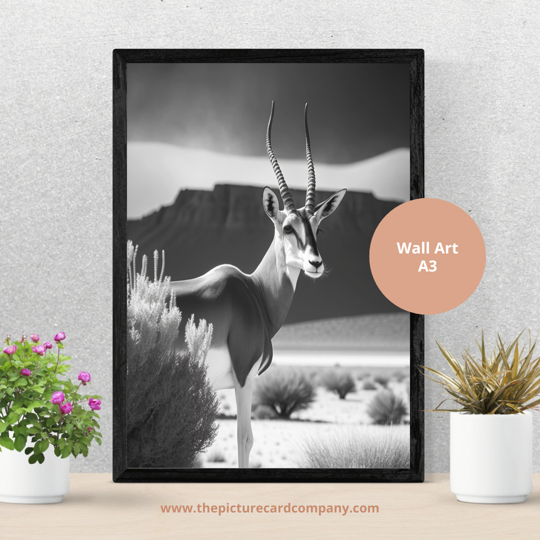 The monochrome wild animal’s collection - Springbok