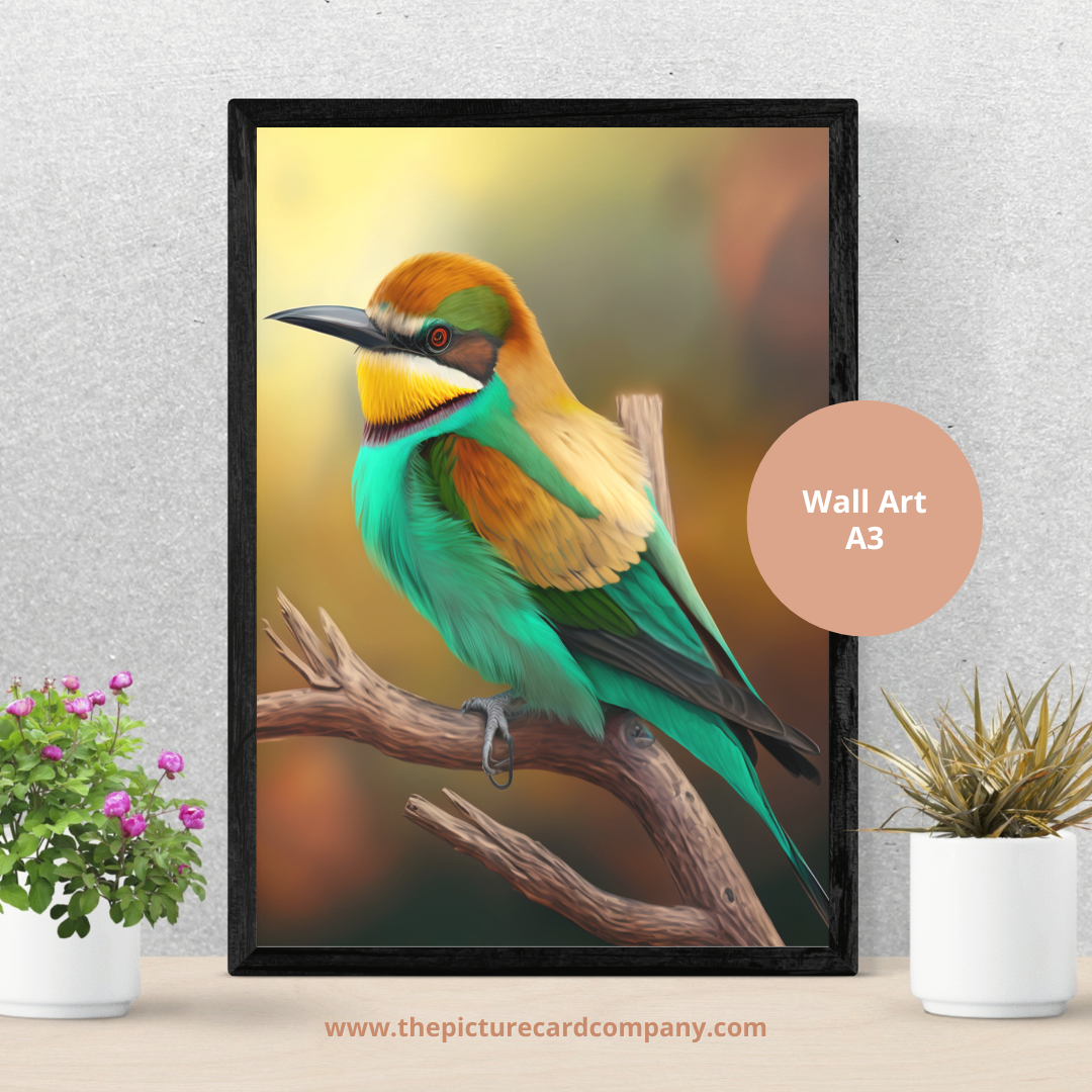 The Bird collection - full set of 12 images