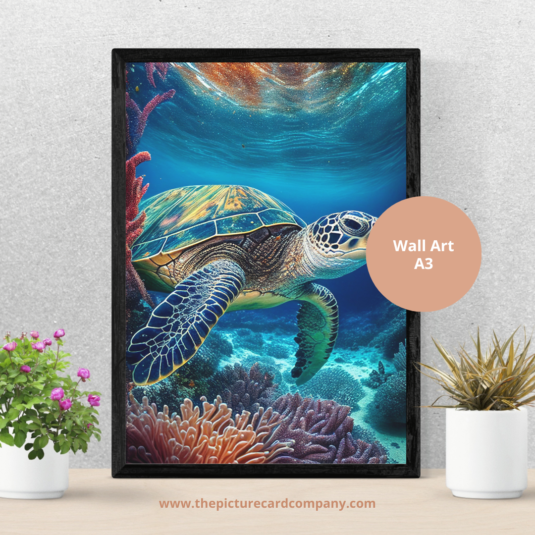 Oceanic Collection - The Turtle