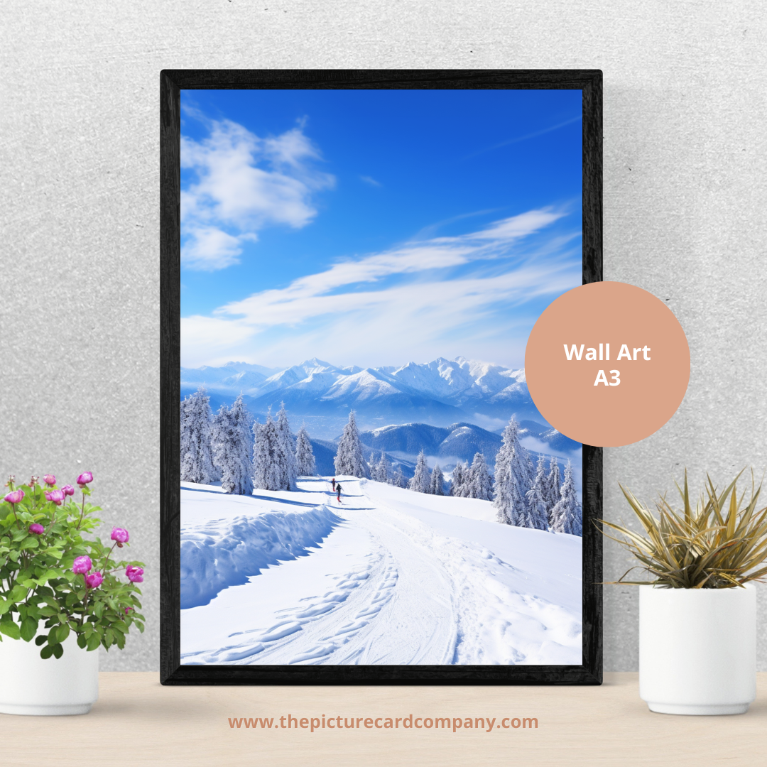 Winter sports collection - 08