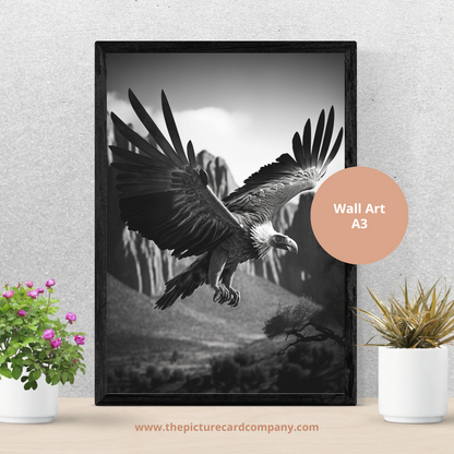 The monochrome wild animal’s collection - the flying Vulture